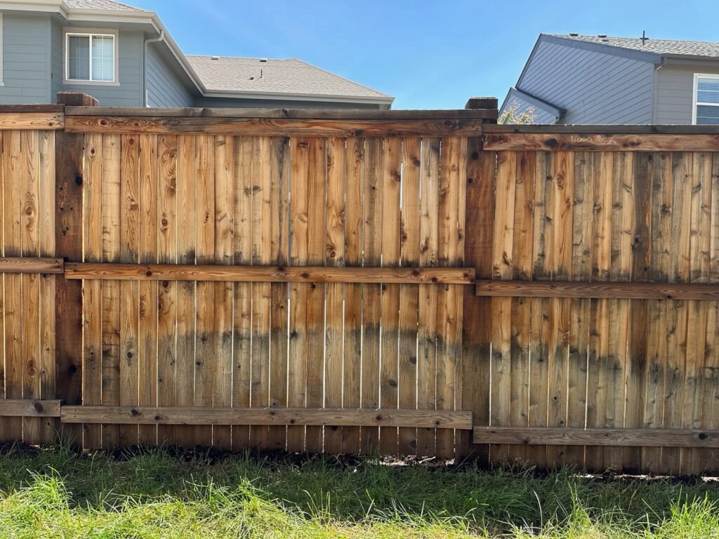 Cedar privacy fence stain