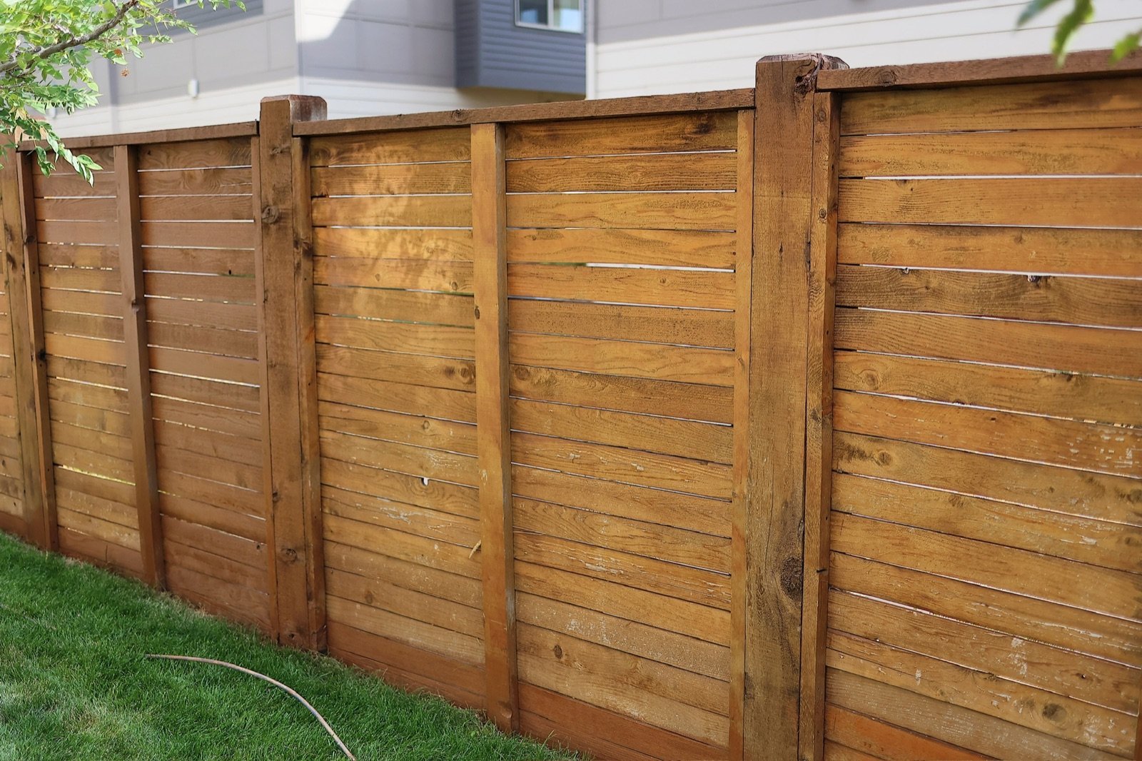 Horizontal cedar fence with a fresh golden stain